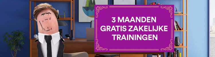 SkillsTown zakelijke trainingen